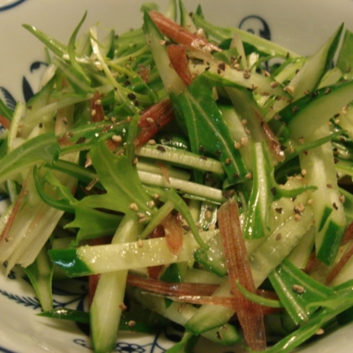 胡瓜＆水菜＆茗荷のイタリアン風和え物